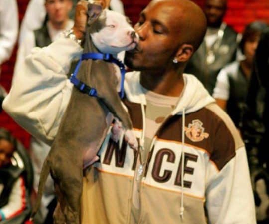 The Question Of Where DMX’s Dogs At Finally Answered