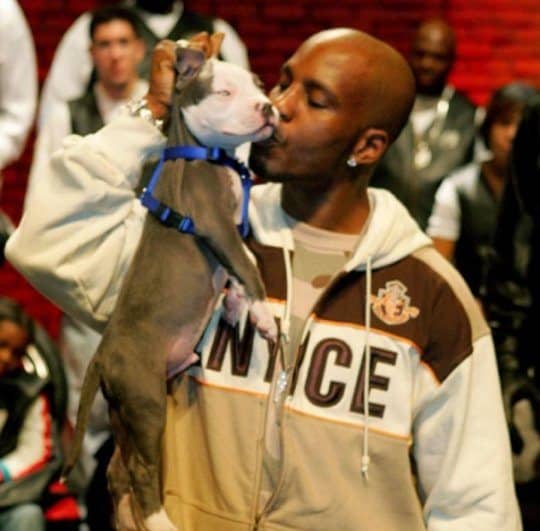 The Question Of Where DMX’s Dogs At Finally Answered