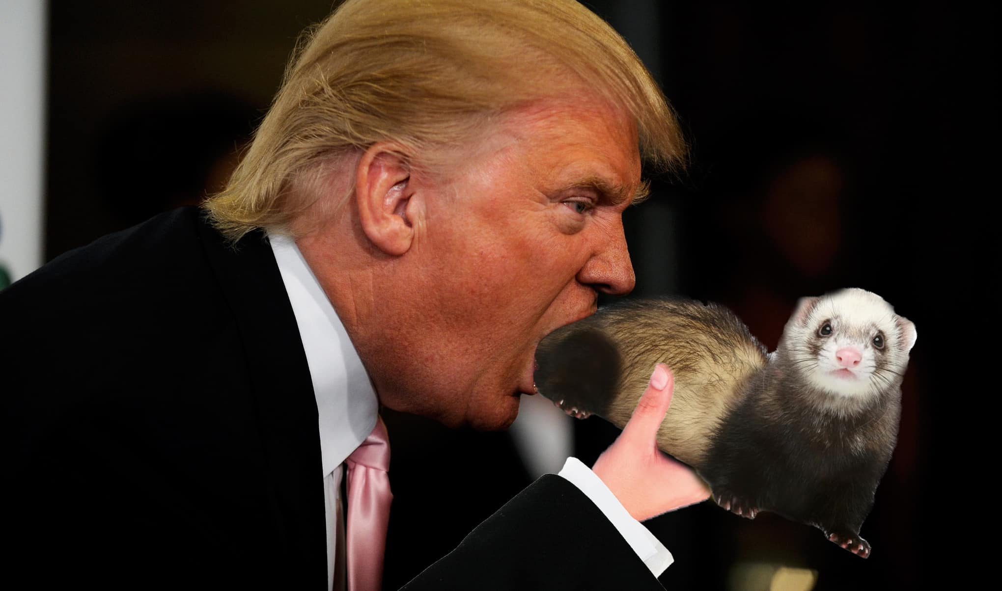 Please Don’t Trust This Photo Of Donald Trump Eating An Entire Ferret