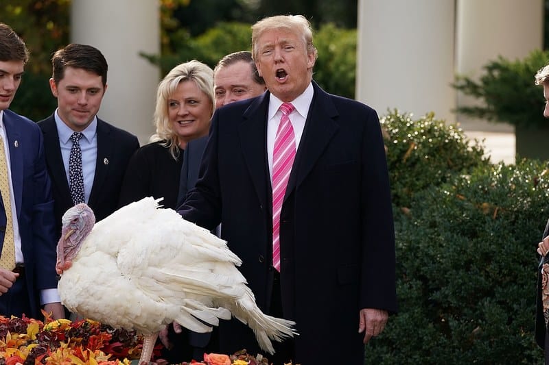 Trump Pardons Whitest Turkey With Longest List Of Sexual Harassment Allegations And Civil Rights Violations