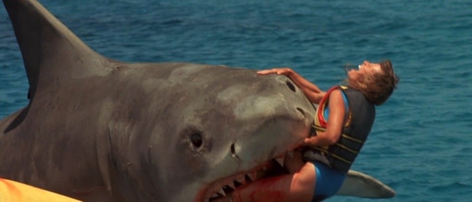 5 Times The Crew From Jaws Accidentally Switched The Animatronic Shark With A Real One