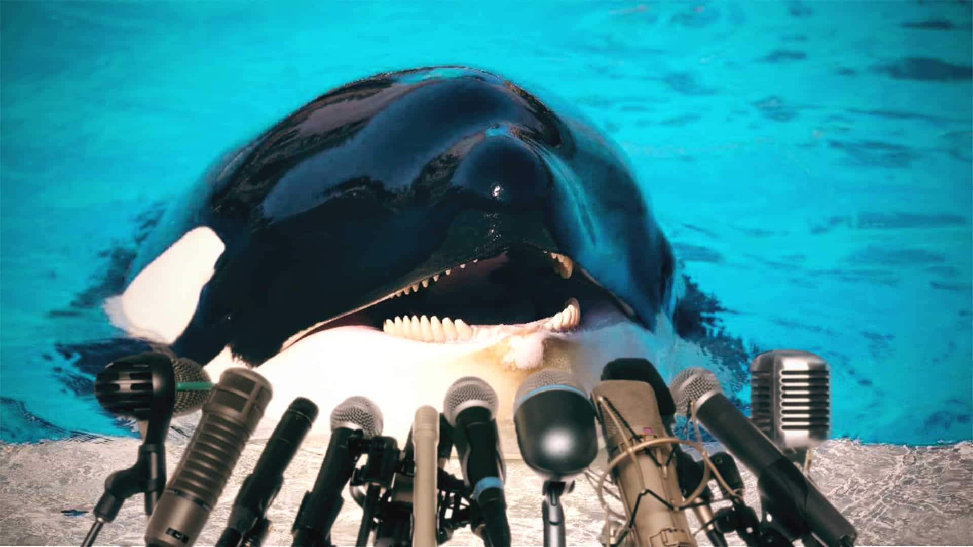 They Taught This Whale To Talk And Now It’s Running For President Of The United States