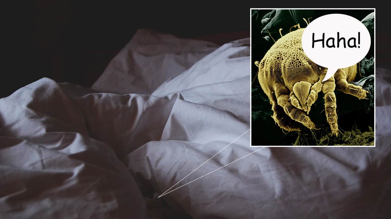 Micro-Organisms Discovered In Mattress Can Confirm Woman Is Faking Orgasm