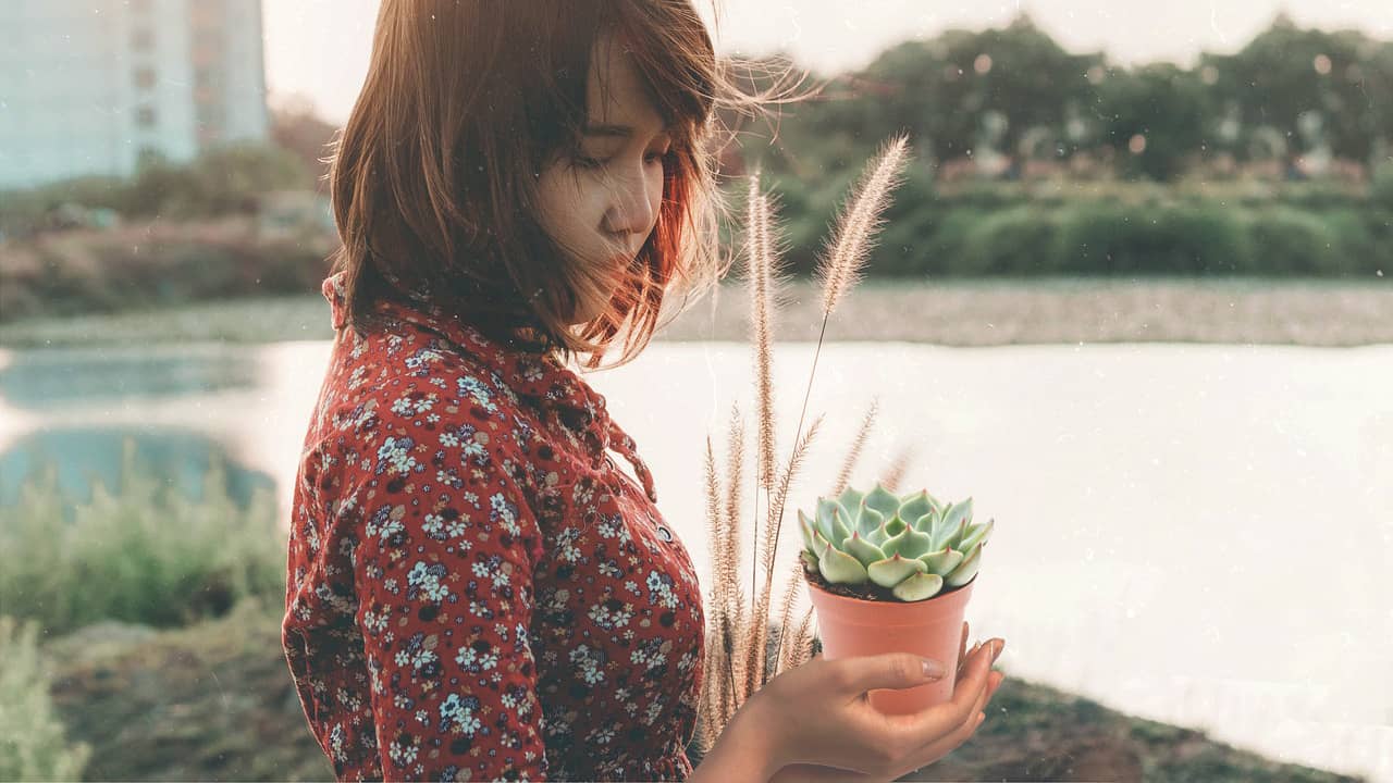 Succulent Dies Along With 29-Year-Old’s Hope Of Ever Becoming A Parent