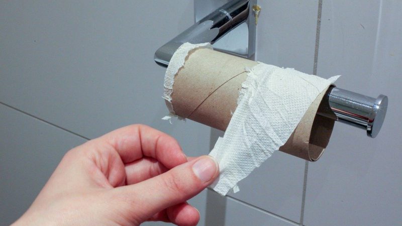 Alternatives To Wiping for the Great TP Shortage of 2020