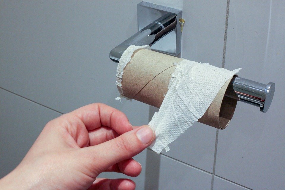 Alternatives To Wiping for the Great TP Shortage of 2020