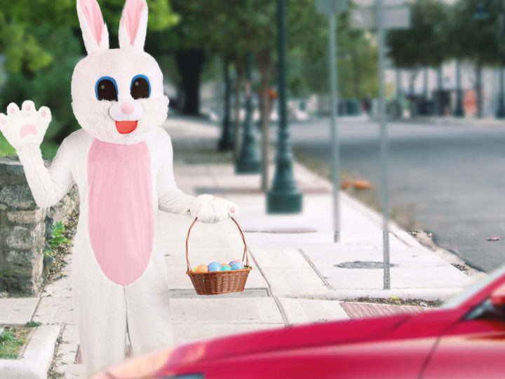 Regretful Easter Bunny Announces Eggs Will Be Limited To Curbside Pick-Up