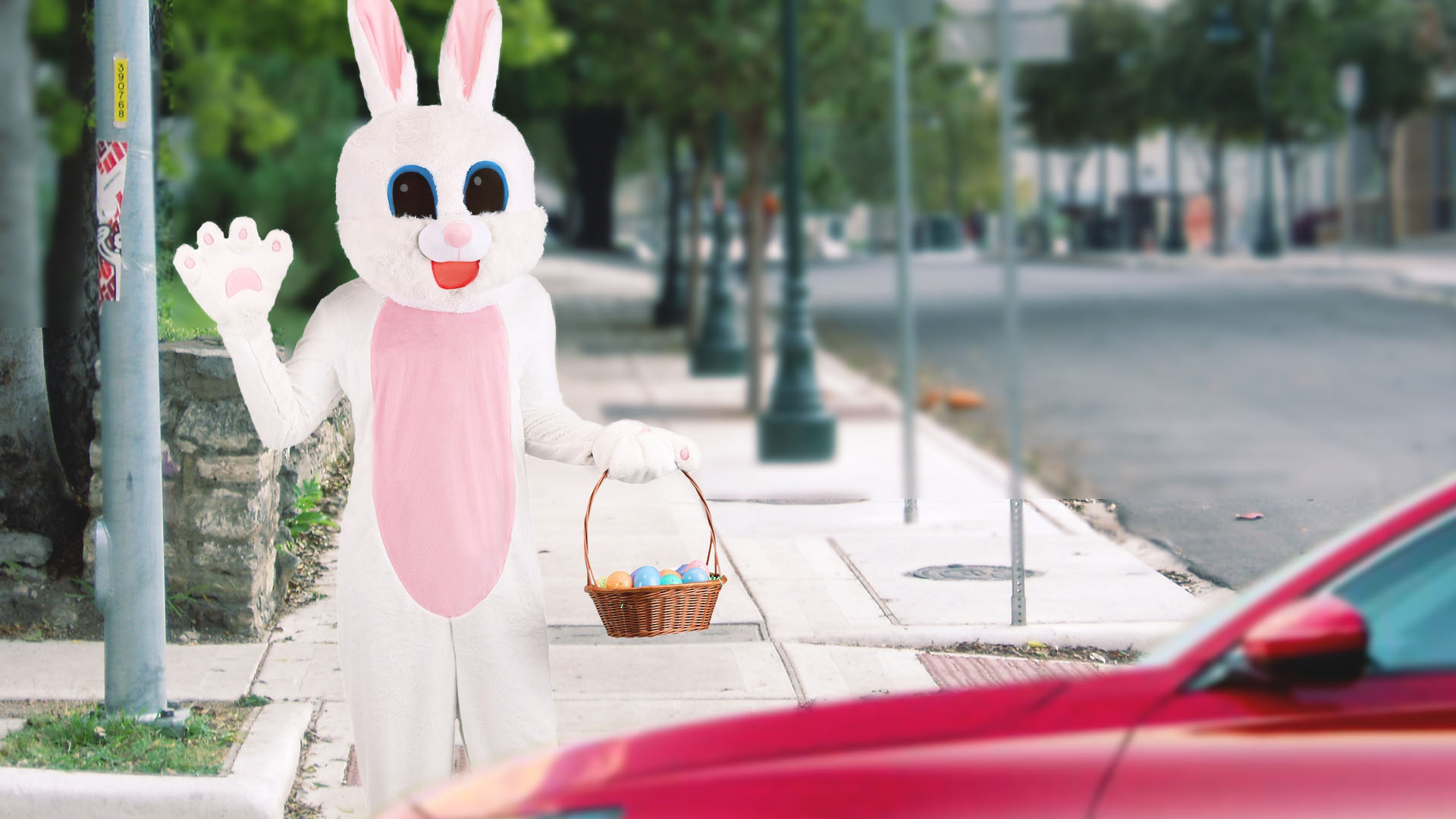 Regretful Easter Bunny Announces Eggs Will Be Limited To Curbside Pick-Up