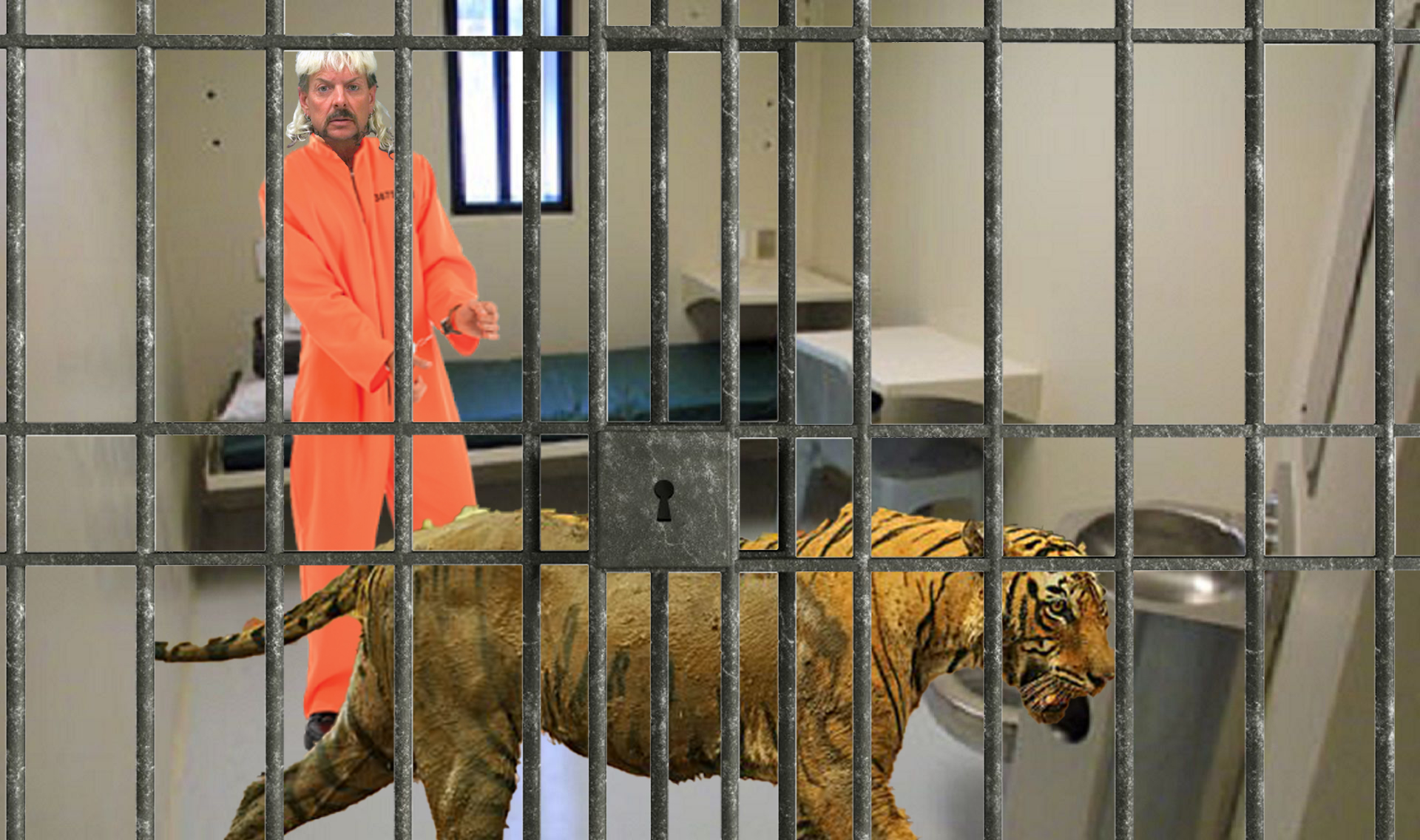 Feces Covered Tiger Smuggled Into Prison, Confiscated From Joe Exotic’s Cell
