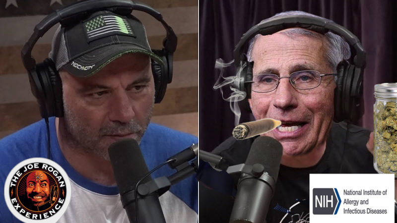 Anthony Fauci Smokes Weed, Tells-All In Joe Rogan Podcast