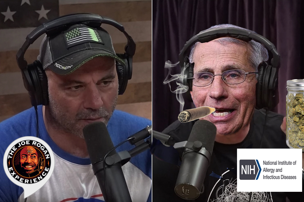 Anthony Fauci Smokes Weed, Tells-All In Joe Rogan Podcast