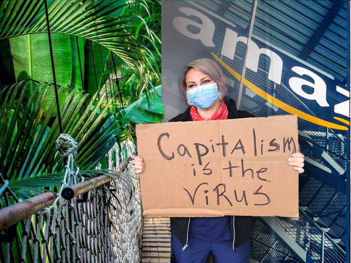 Activist Simultaneously Committed To Saving Amazon, Destroying Amazon