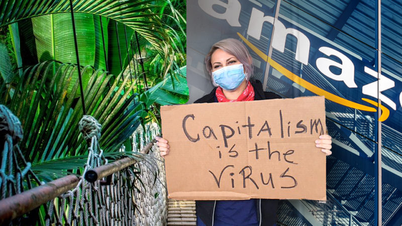 Activist Simultaneously Committed To Saving Amazon, Destroying Amazon