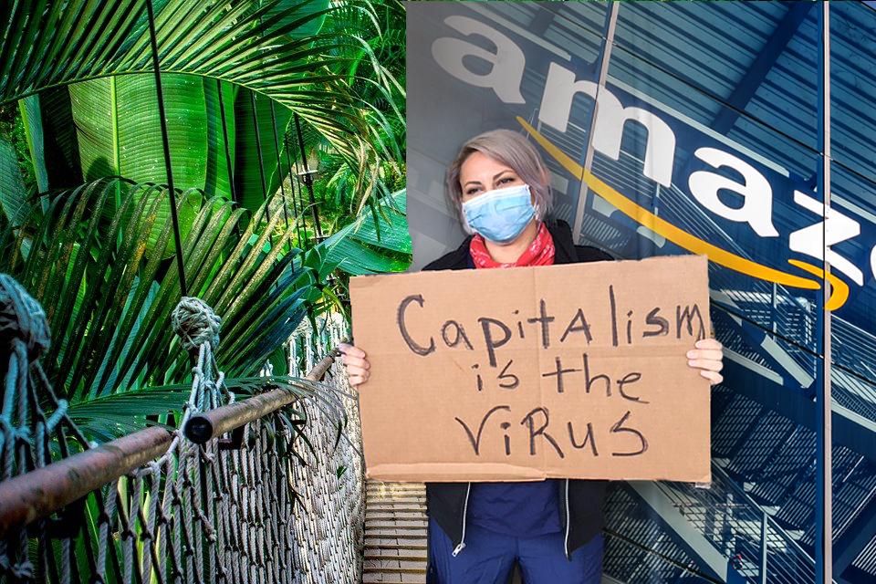 Activist Simultaneously Committed To Saving Amazon, Destroying Amazon