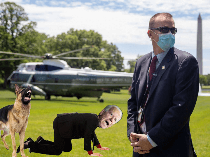Like Owner, Like Dog: Biden Bites 13th Secret Service Agent