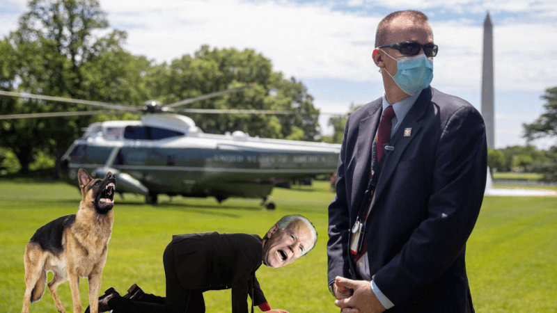 Like Owner, Like Dog: Biden Bites 13th Secret Service Agent
