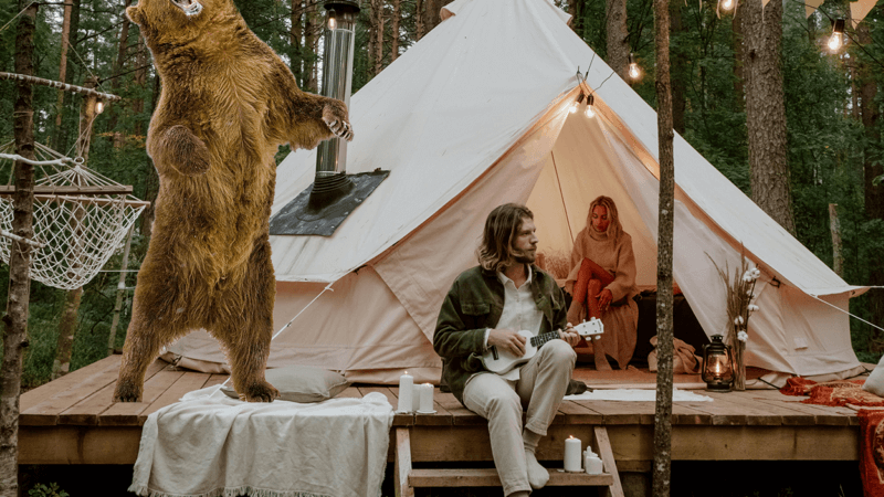 Glampers Comfortably Mauled By Bear