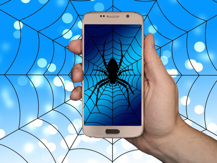 Spider Sells Eggs On Dark Web Web