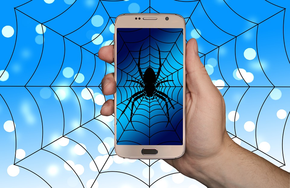 Spider Sells Eggs On Dark Web Web